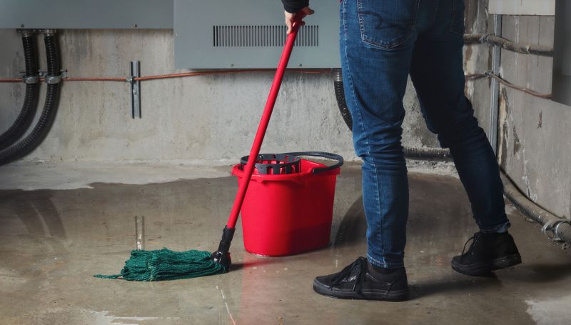Basement Vacuuming in Bellevue, WA