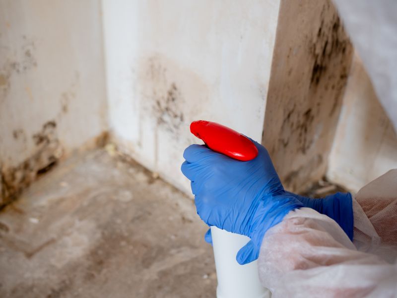 Mold Restoration in Boca Raton, FL