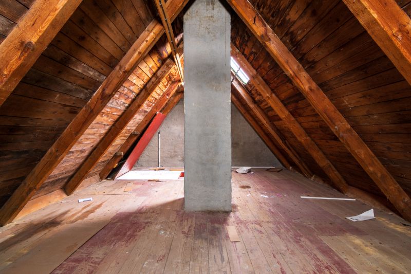 Attic Cleaning