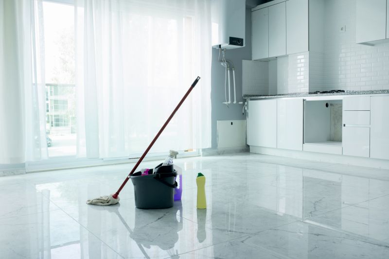 Kitchen Cleaning in Bellevue, WA