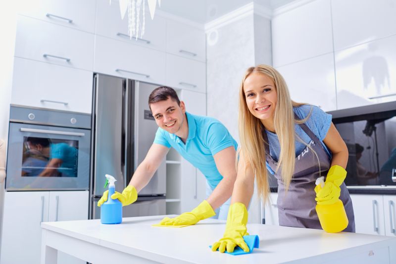 Kitchen Cleaning in Renton, WA