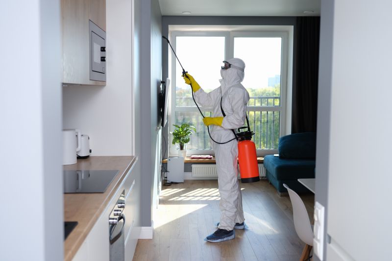 Mold Cleanup Service in Boca Raton, FL