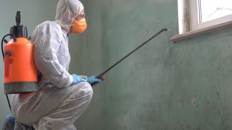 Mold Control in Jupiter, FL