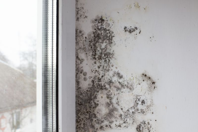 Mold Restoration in Fort Worth, TX